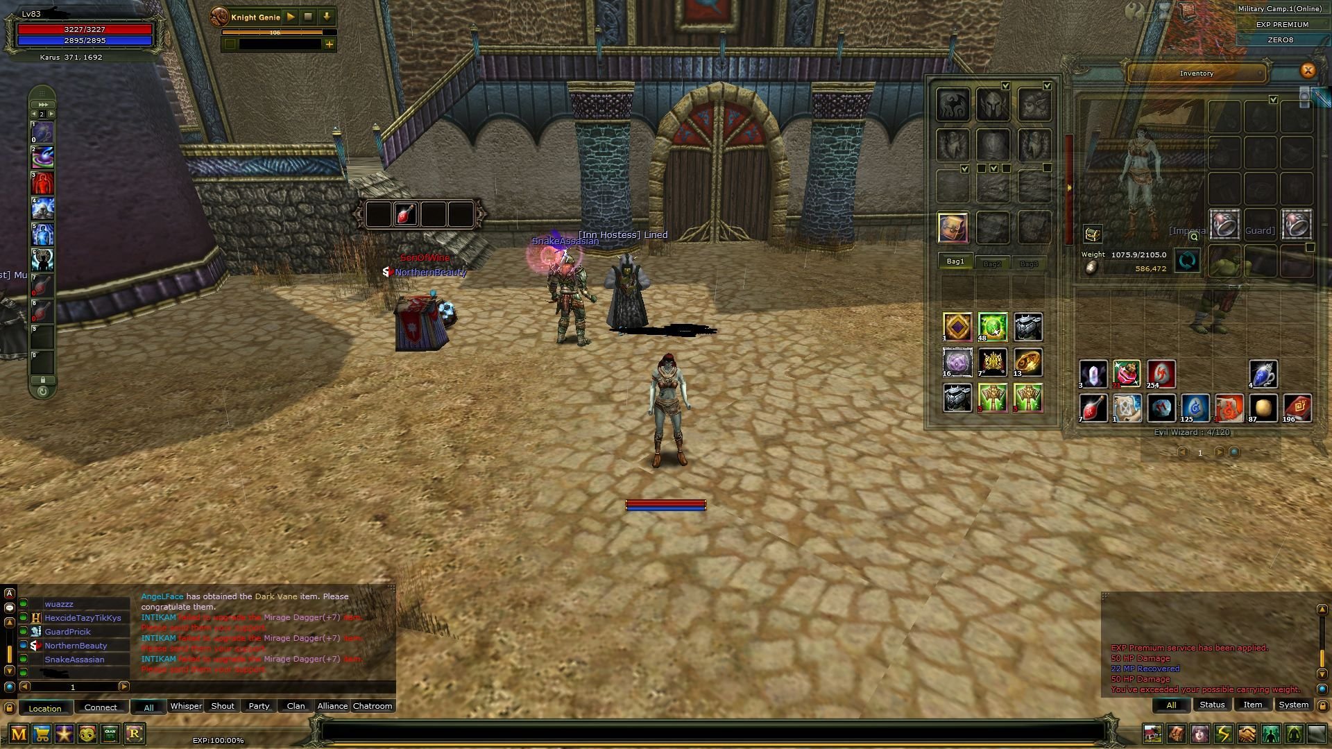 83 % 100 EXP PRİEST