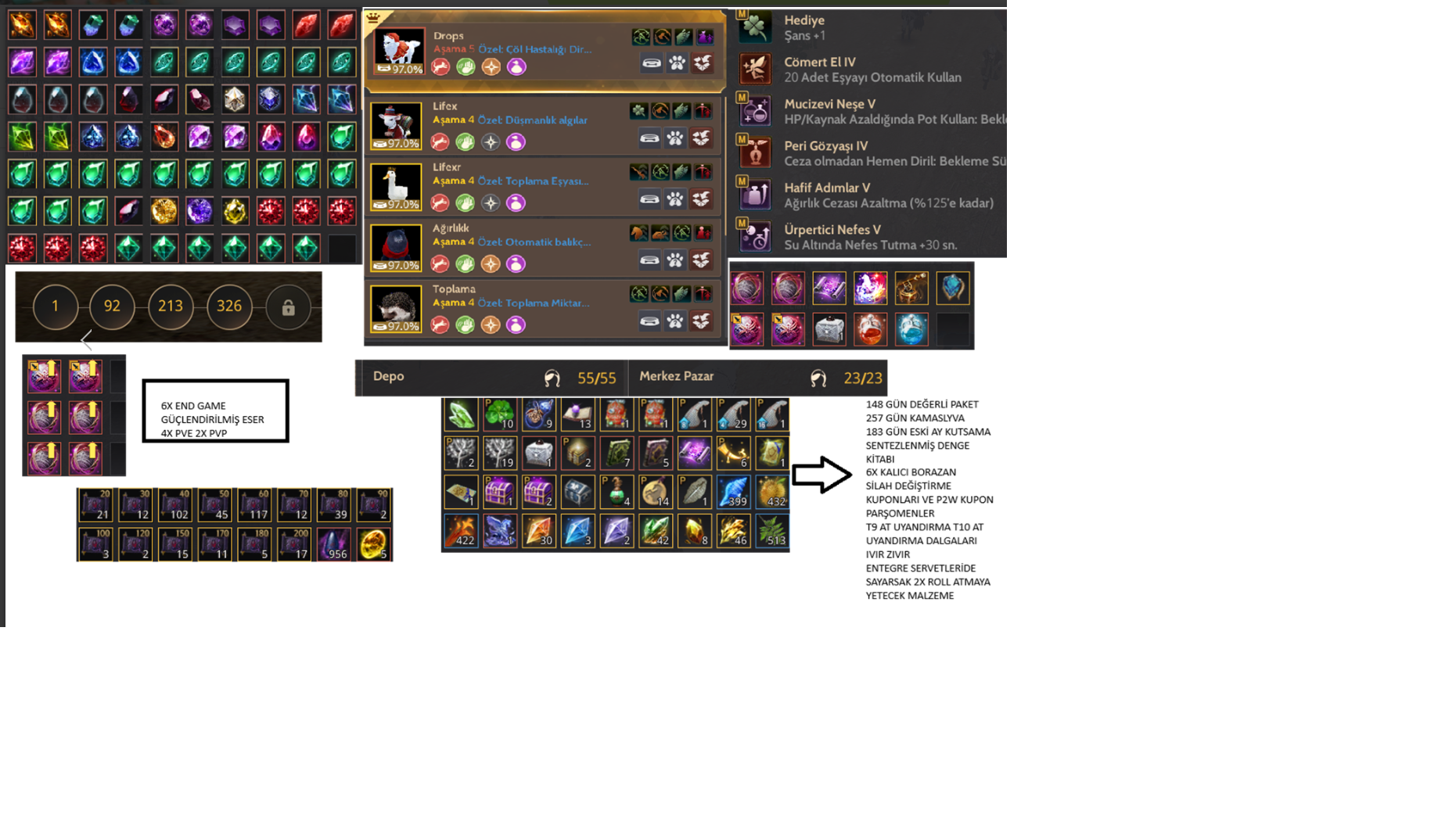 847 GS / 2x 66 LEVEL KARAKTER MEAGU / LAHN