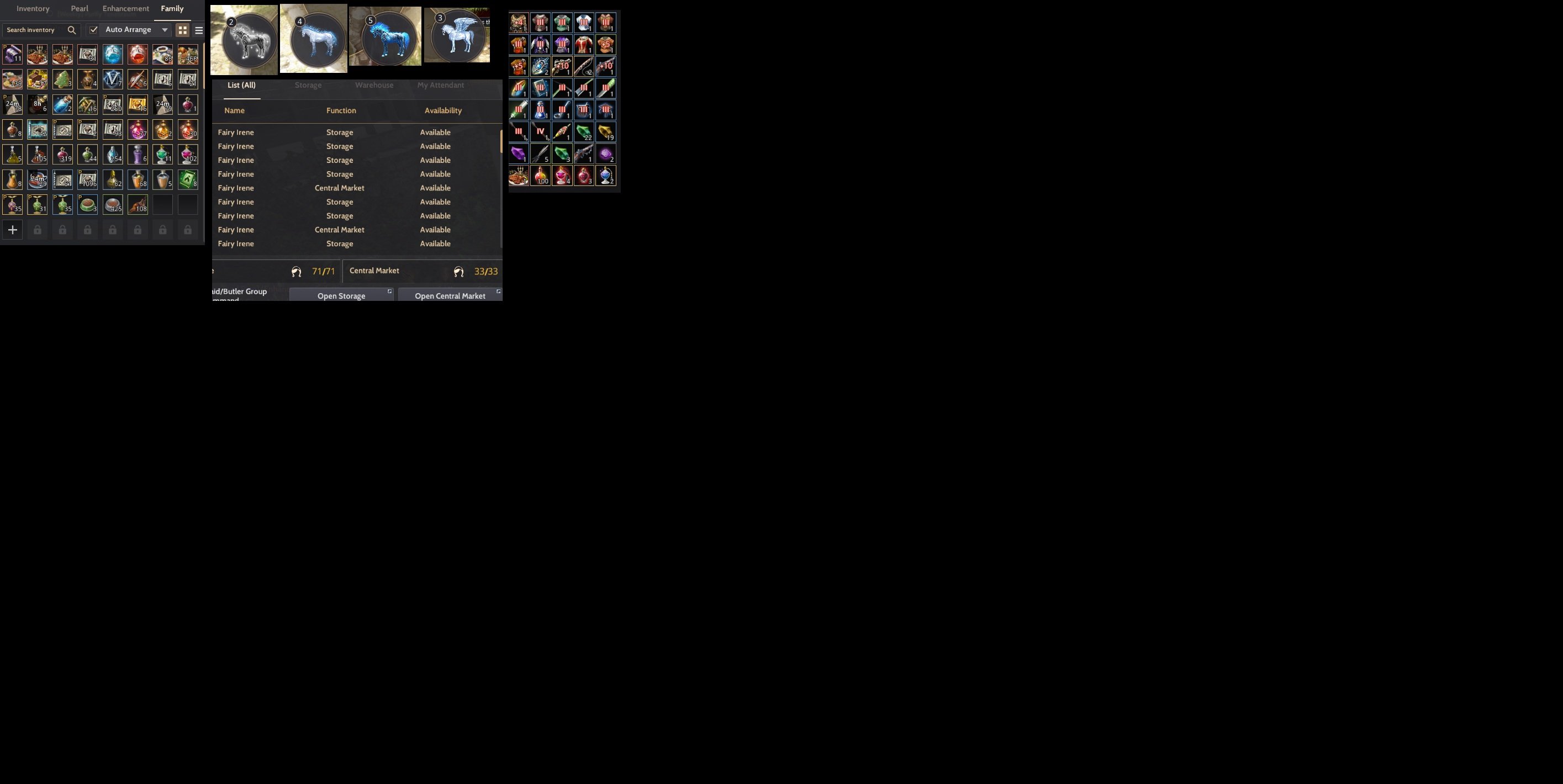 TEK SİLAH IX GERİSİ X - SET IV EDANIA ZIRH - FUL HAZINE