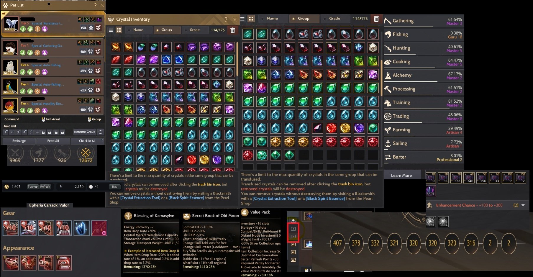 TEK SİLAH IX GERİSİ X - SET IV EDANIA ZIRH - FUL HAZINE