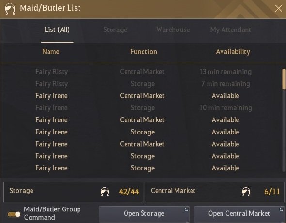 848GS Elit Anonim hesap