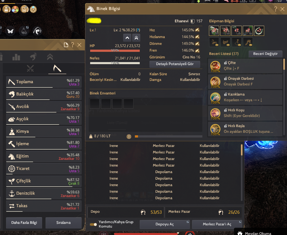 391 AP 461 DP SAHİRE 2X (IX)