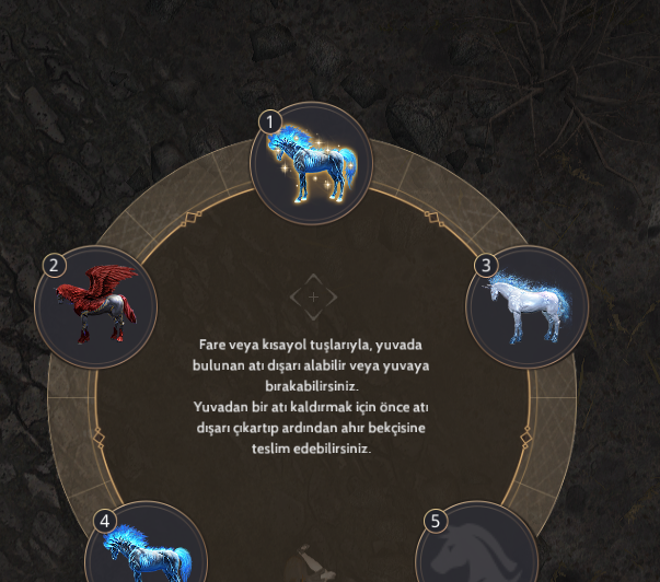 860 GS 2 Dec Silah | Client - Anonim