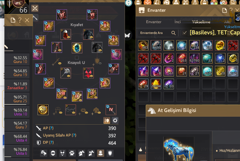 856 gs 66 lvl Guardian