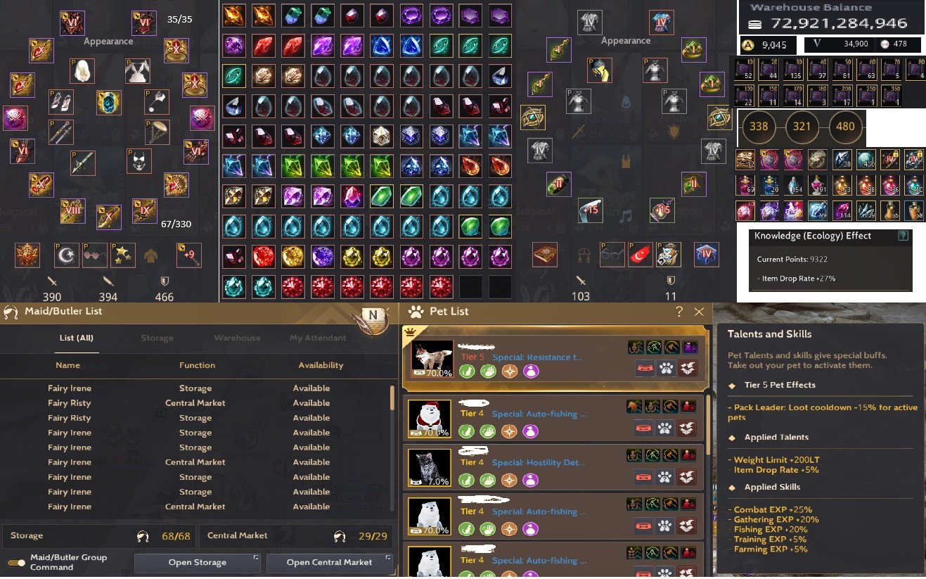 66 EndGame 861 GS Full P2W