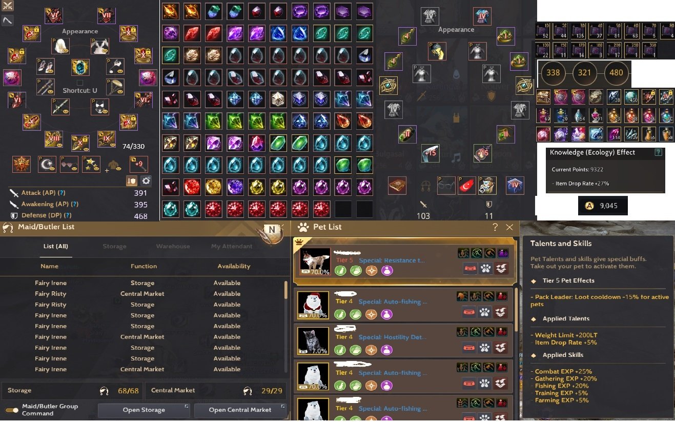 66 EndGame 863 GS Full P2W