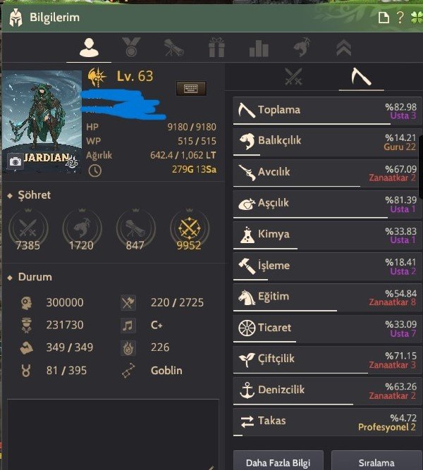 63 lvl guardian