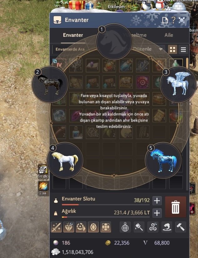 874 GS / GRİFONLU END GAME FIRSAT HESAP