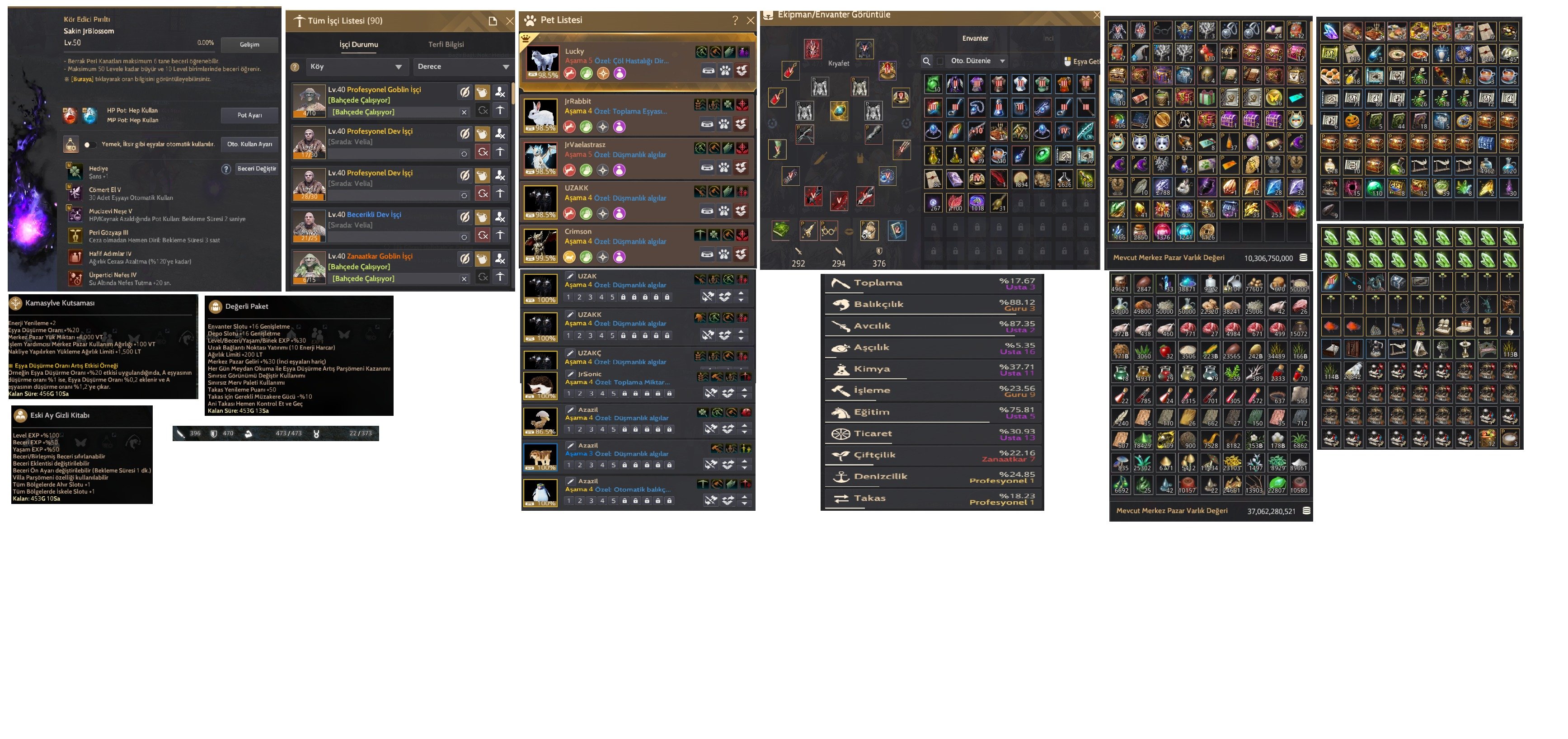 867 GS Full X P2W Elit Hesap / Sage Güneş Şovalyesi Kostüm / Crimson Desert At kostüm