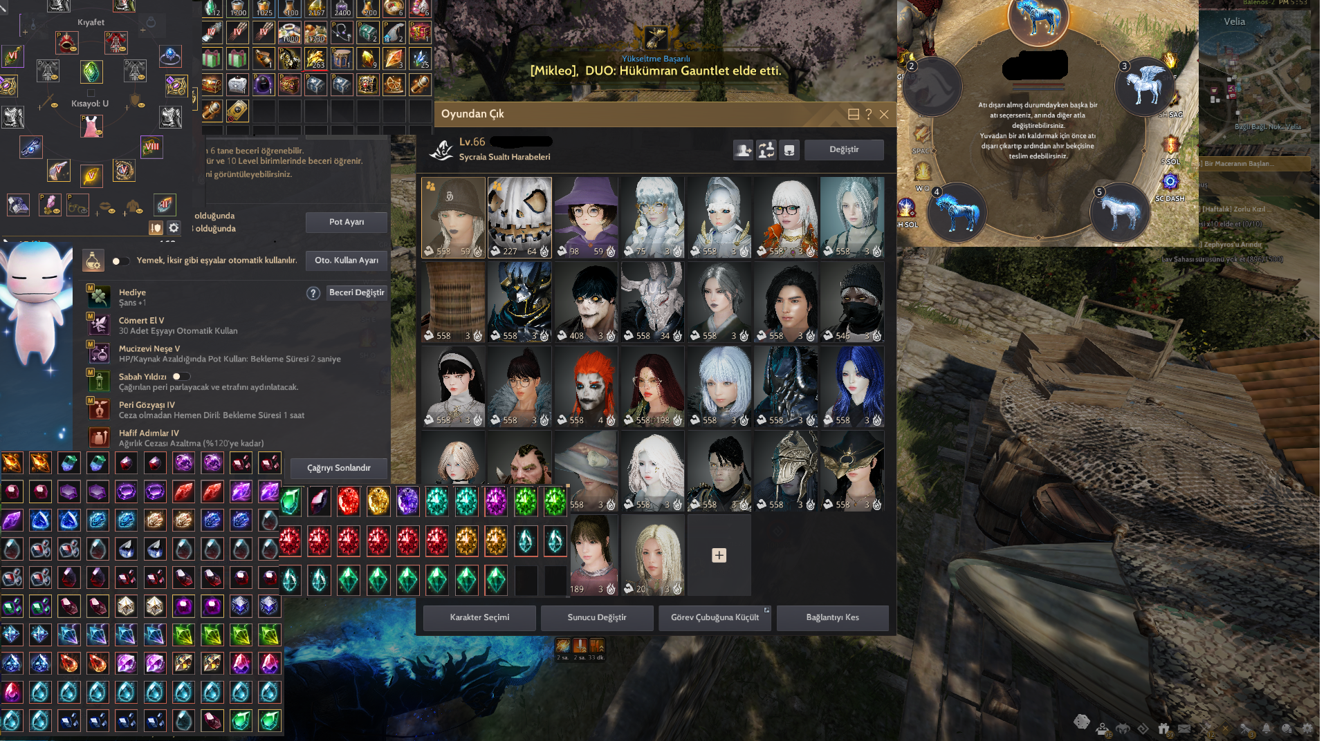 875GS LIFE/PVP ANONIM ACC