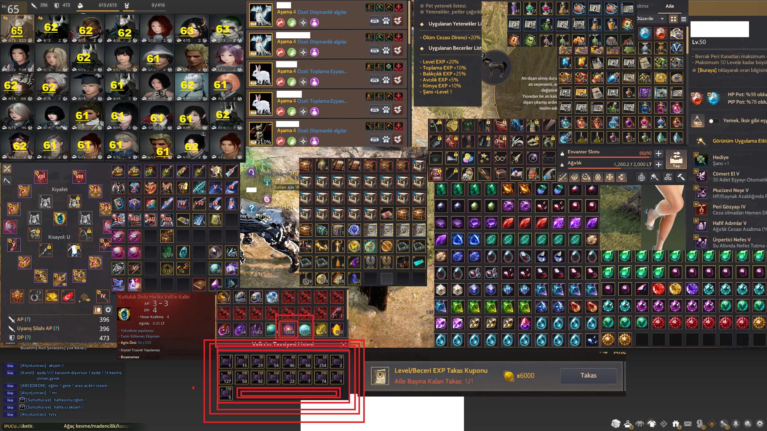 867gs 65 SAGE Full P2W
