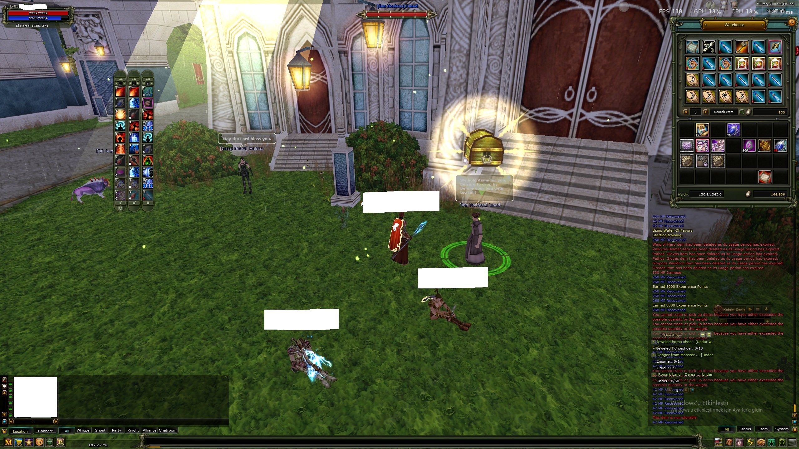 Full skill 83 Mage