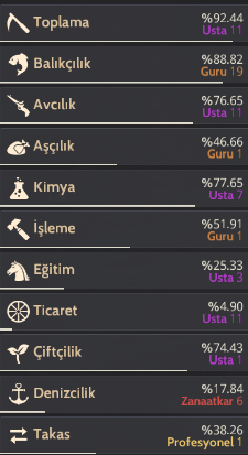 858 gs çar