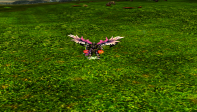 Elite Plus Warrior