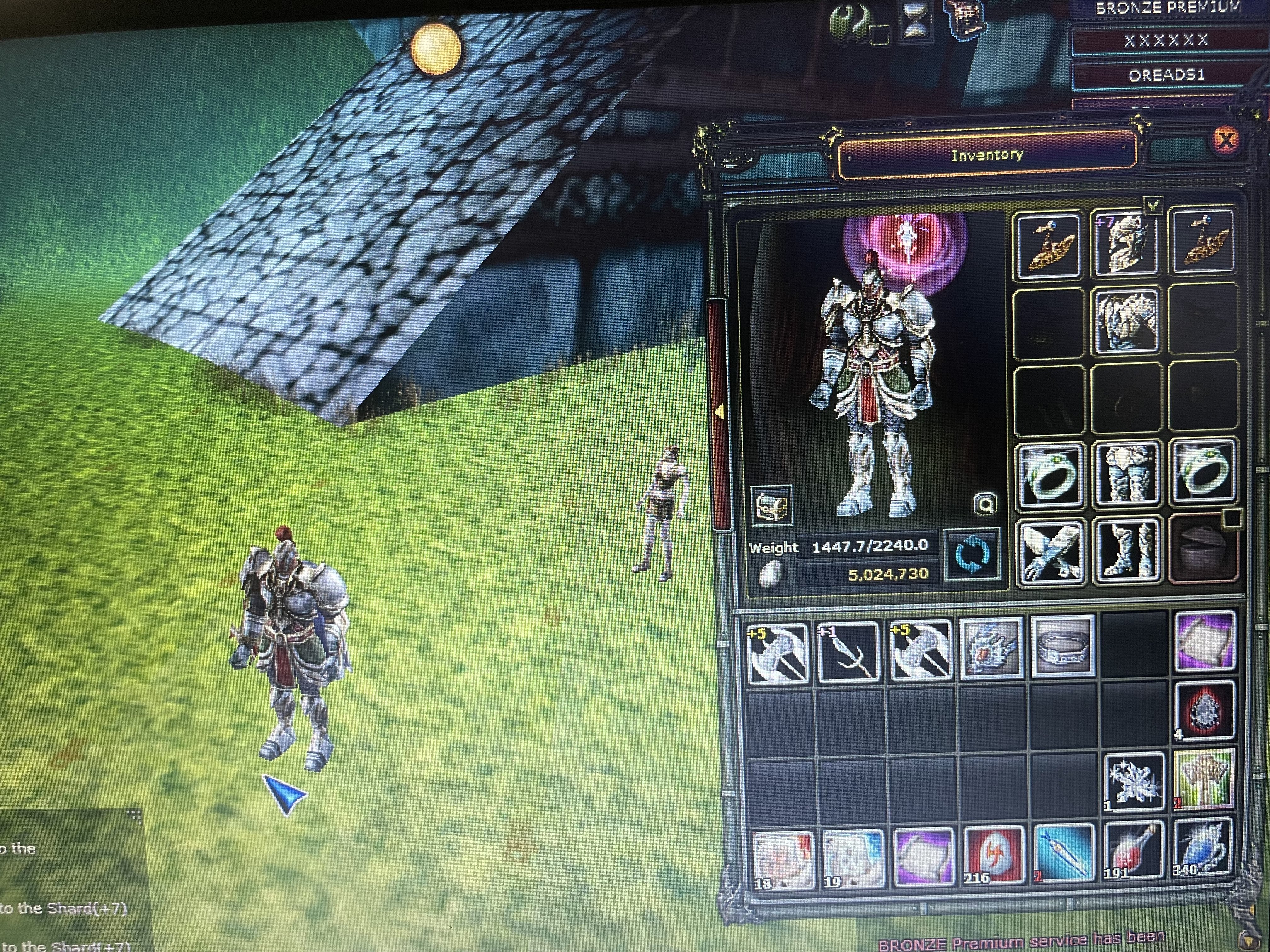 77 lvl human warrior ( 27 gün bronze pre )