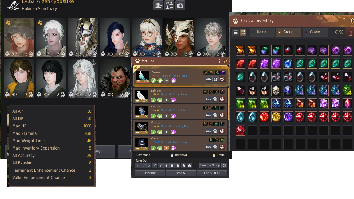 800 GS ANONIM ACC