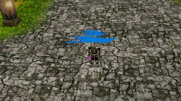 FULL İTEM ELİT ROGUE