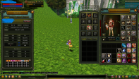 83% 28 HUMAN MAGE SATILIK