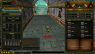 80 KARUS MAGE VE ROGUE YAN YANA
