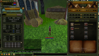 61 LEVEL HUMAN MAGE 285K NPLİ