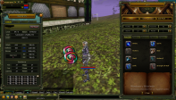 64 LEVEL HUMAN ROGUE