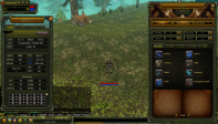 71 LEVEL KARUS ROGUE