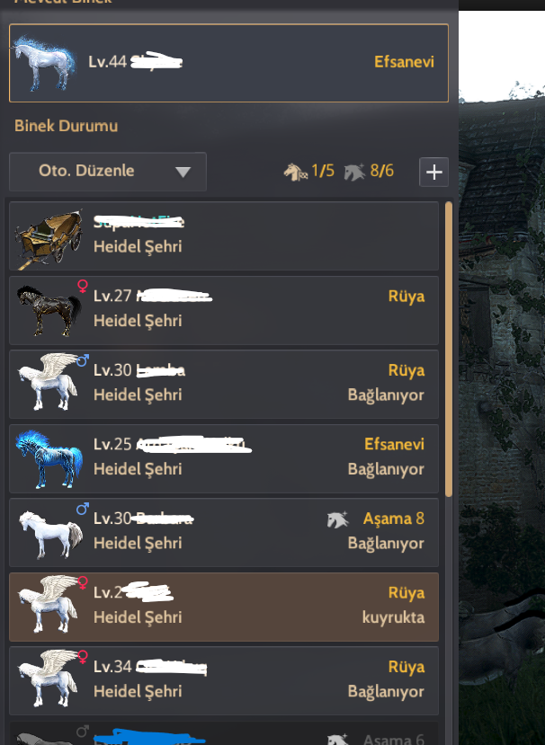 394 AP - 465 DP PVP ye hazır Çar.