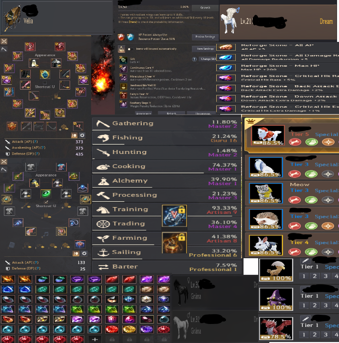 808 GearScore EU account 64 Sorc,Witch T10 Pegasus