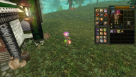83/5 Human asas