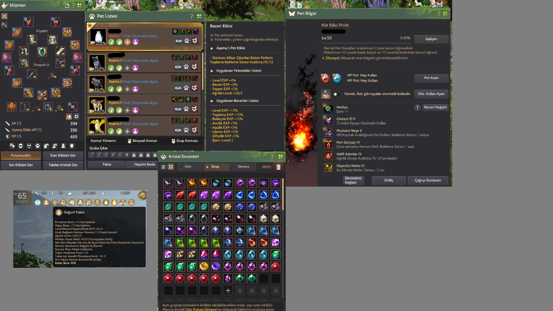 865 GS Client Hesabı