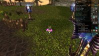 83/3 Mage Reb 3 Quest staff