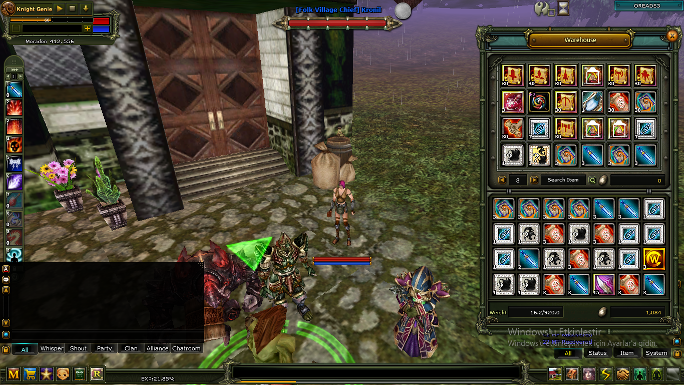 83 LEVEL HUMAN MAGE FULL PUSS