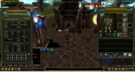 81 LEVEL FARMLIK RROGUE