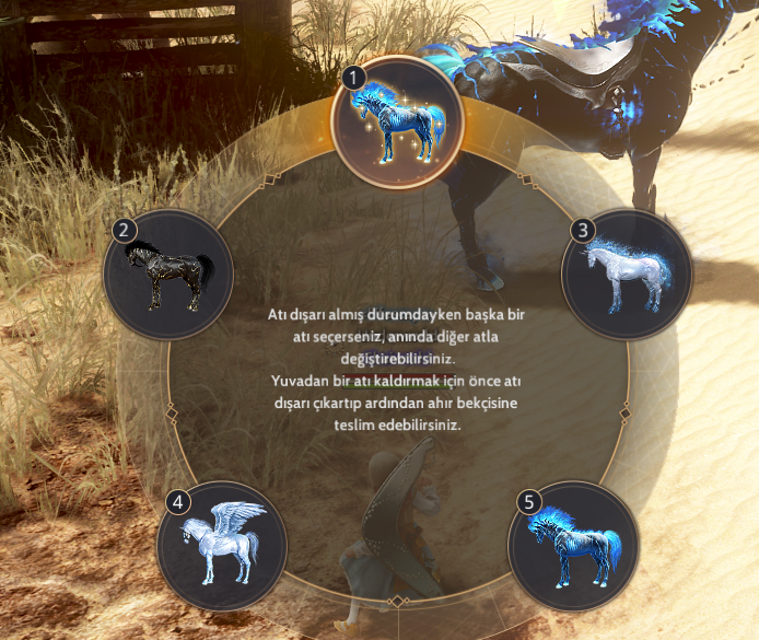 PVE - LİFE FULL HESAP