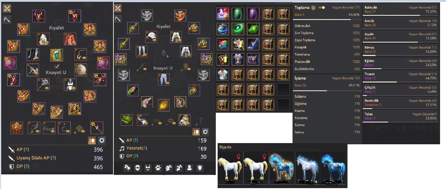 MENA CLİENT PVP/PVE DOLU HESAP