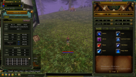 82 LEVEL KARUS MAGE