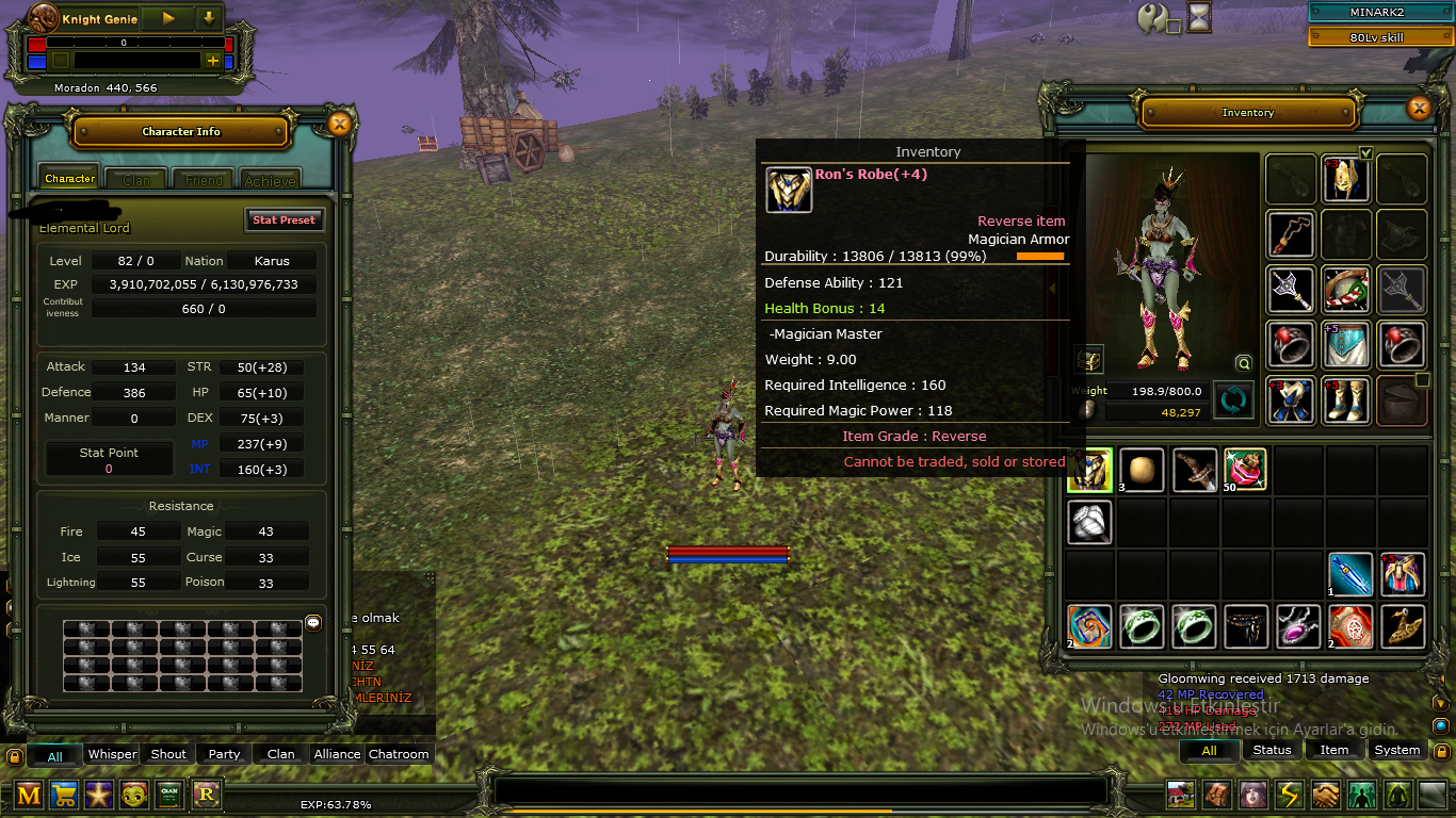 82 LEVEL KARUS MAGE