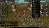 83/5 6 QUEST 90 DEF % 100 EXP HUMAN WARRIOR