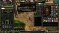 83 Level Mage WAR premiumlu 360k NP