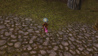 3X QUESTLI 83 REB 2 HUMAN WARRIOR % 85 YAN CHAR 82 LVL MAGE 8GUN GOL PRELİ