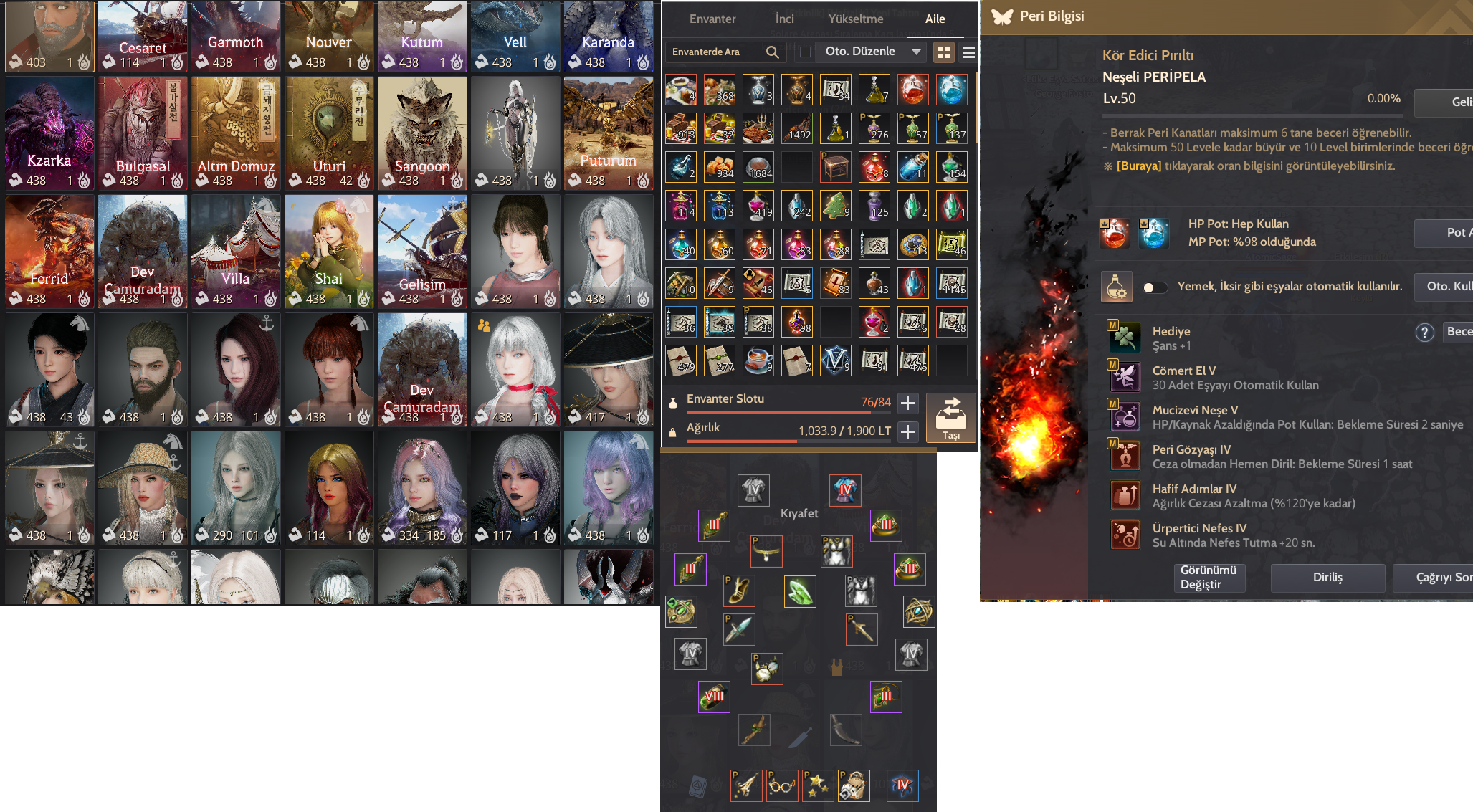 66 LVL SAGE MAİN 862 GS