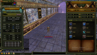 83 LEVEL HUMAN ASAS