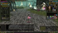 83/1 7 QUEST Staff / FLL Puss