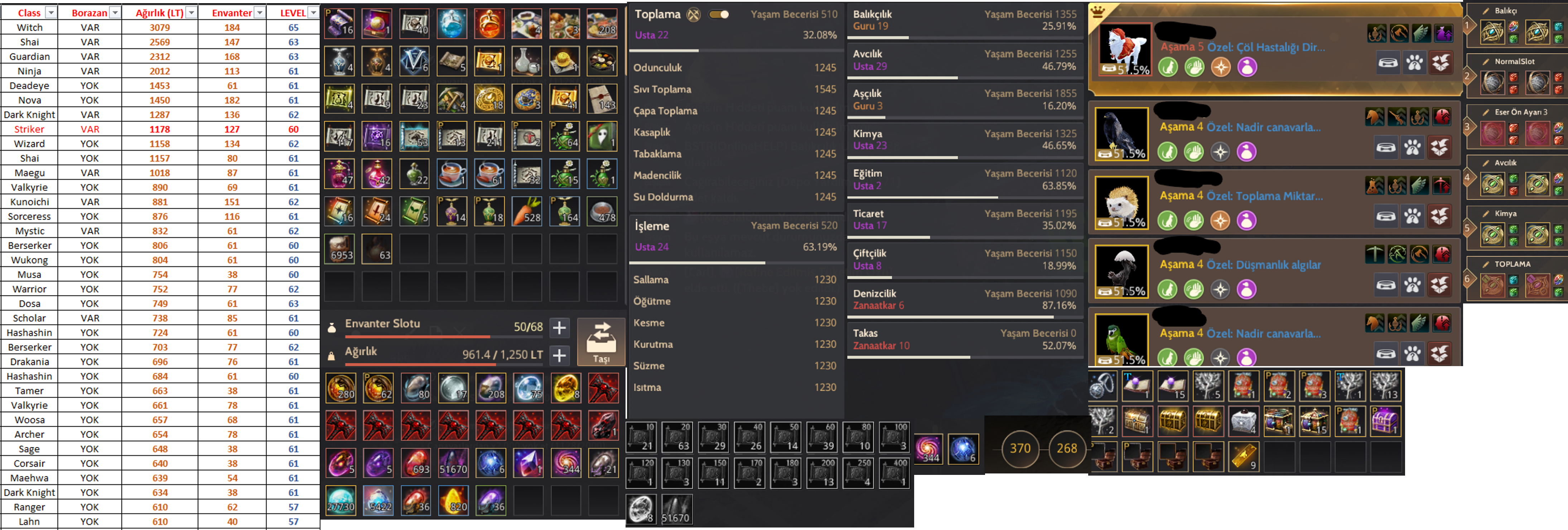 817GS FULL P2W HESAP VE LIFE