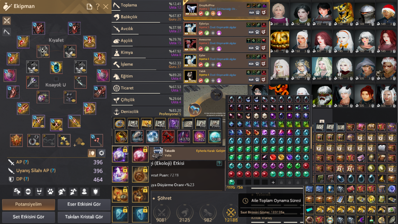 860GS 66 LEVEL FULL X P2W DOLUSU CLIENT