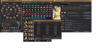 385 AP 446 DP ANONIM HESAP
