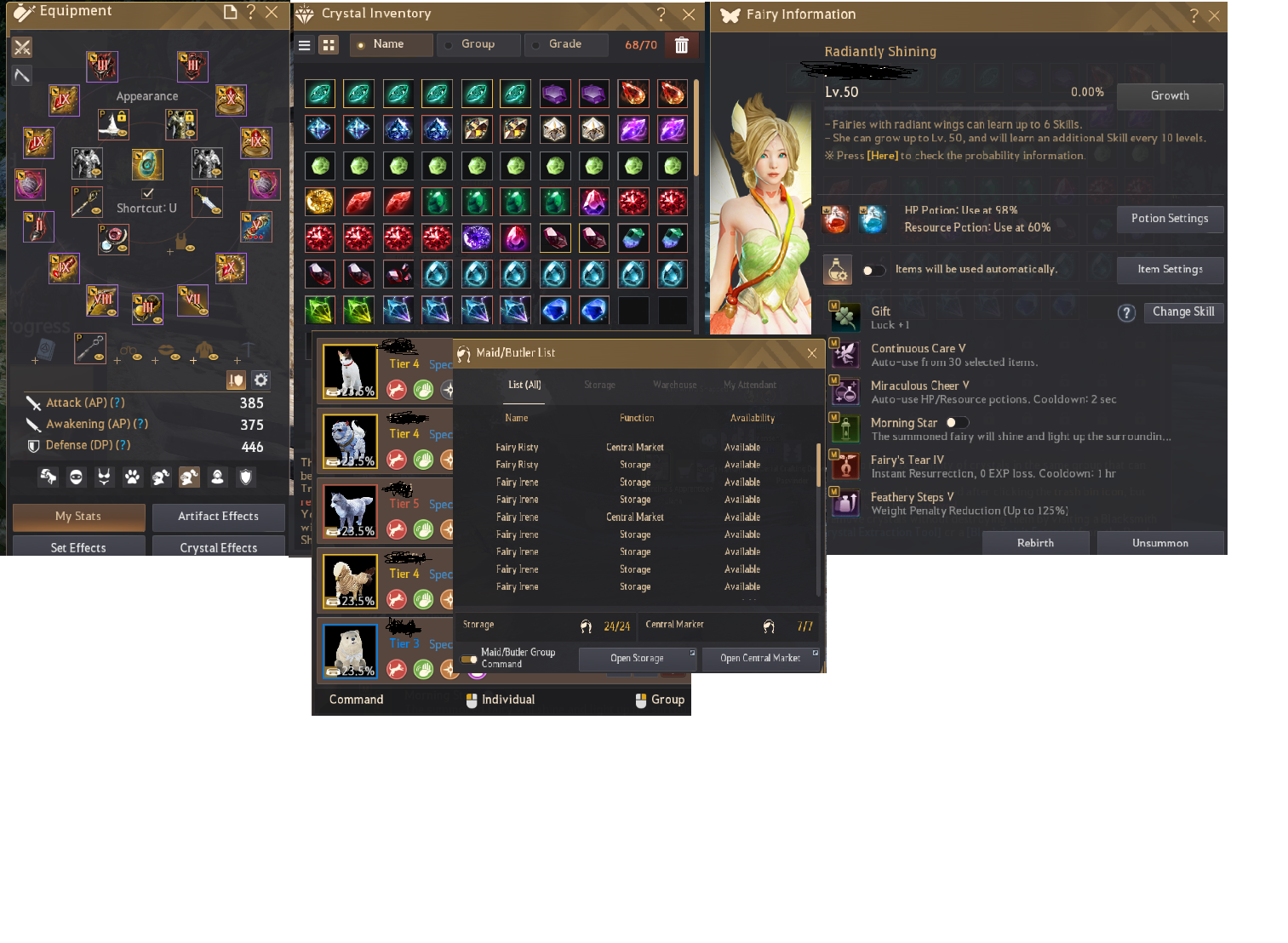 385 AP 446 DP ANONIM HESAP