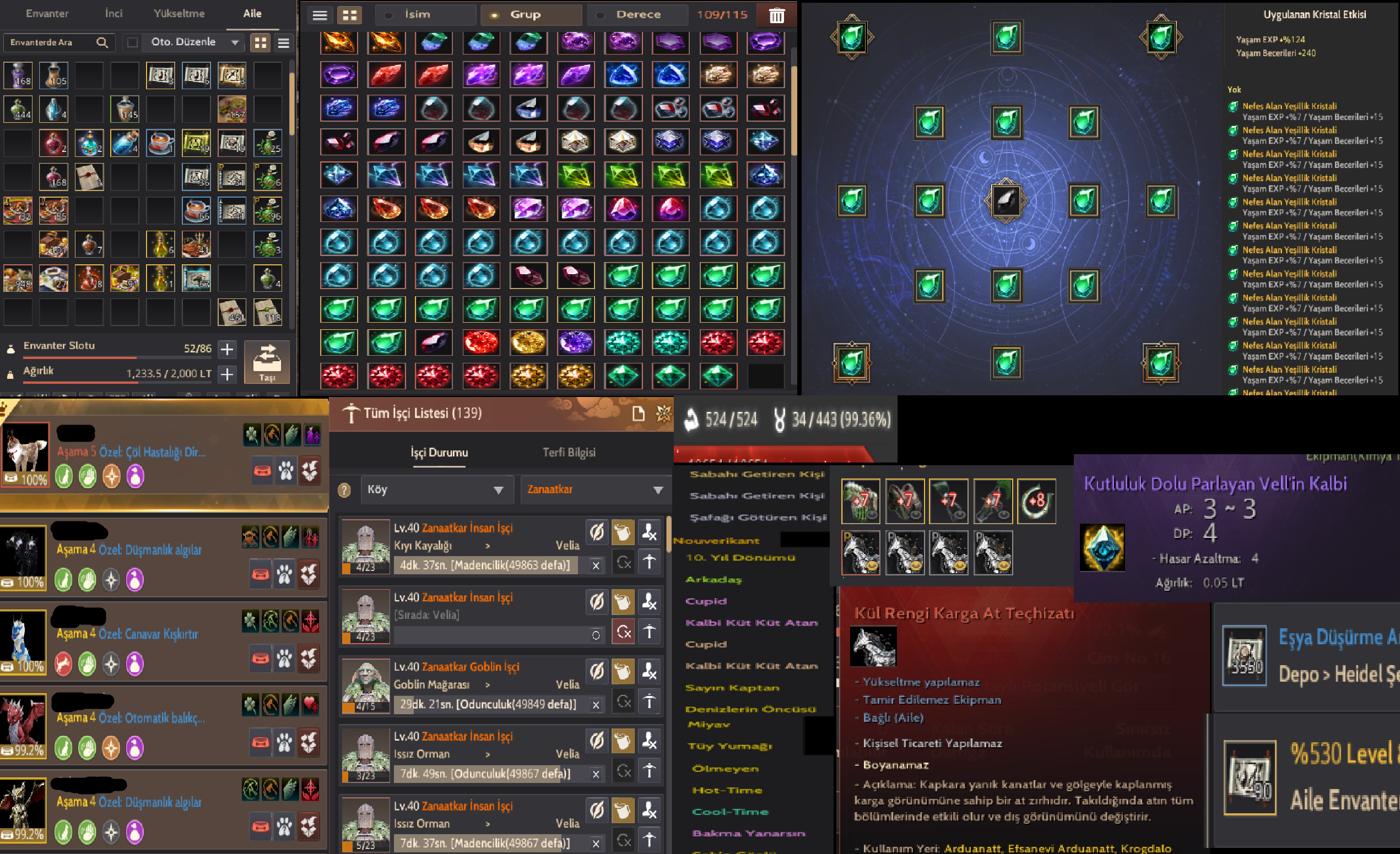 EBENRUTH NOLÜ | 868 GS DEC (X) ZIRH | FULL FULL CLIENT
