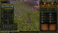 ÖZEL NİCKLİ KARUS ROGUE