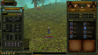 67 LEVEL KARUS MAGE